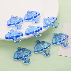 Transparenten Acryl-Anhänger&nbsp;TACR-T024-01B-940