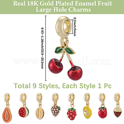 9 Stück 9 Stile Messing Emaille Obst europäischen Baumeln Charms&nbsp;OPDL-BBC0001-04G