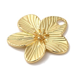 Pendentifs de placage en laiton&nbsp;X-KK-A229-12G