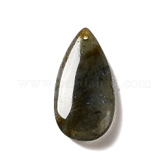Natur Labradorit Anhänger&nbsp;G-F731-04E