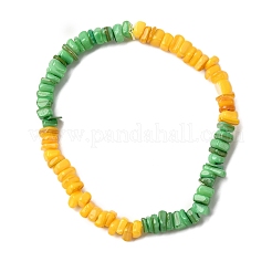 Bracelets extensibles en perles de coquillages d'eau douce naturelles teintées pour hommes et femmes&nbsp;BJEW-JB12477-03