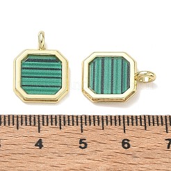 Pendentifs acryliques en alliage&nbsp;AL-CBA4262-03G-01