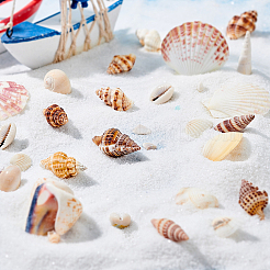 Kits mit natürlichen Muschelperlen&nbsp;SSHEL-PH0002-49