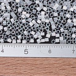 Miyuki Delica Perlen&nbsp;SEED-MY11-DB0670