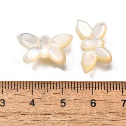 Natürlichen weißen Muschelperlen&nbsp;BSHE-Z008-02