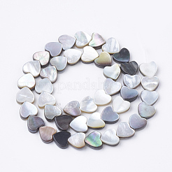 Natur schwarz Lippe Shell Perlen Stränge&nbsp;SSHEL-Q298-11