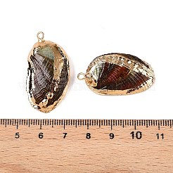 Natur Paua Muschel Anhänger&nbsp;SSHEL-N038-18A