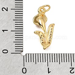 Messing micro pave klare zirkonia anhänger&nbsp;CU-G605-18G-04