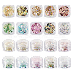 10 Box mit 10 Farben Pet Shiny Nail Art Glitter&nbsp;MRMJ-TA0001-33