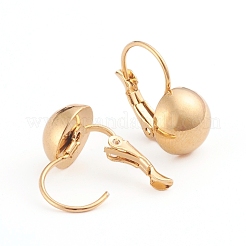 Orecchini a leva in acciaio inossidabile 304&nbsp;EJEW-L232-038D-G