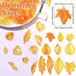 50g transparente Acrylanhänger&nbsp;TACR-CJC0005-05