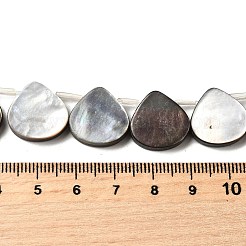 Natur schwarz Lippe Shell Perlen Stränge&nbsp;BSHE-D300-08