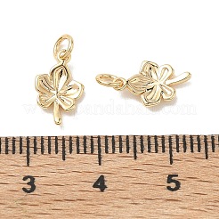 Breloques en laiton shegrace&nbsp;XGRQ3D271-460G
