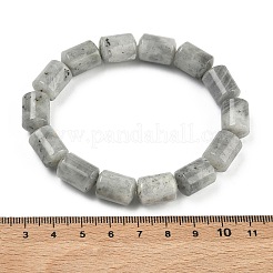 Stretch-Armbänder aus natürlichen Labradoritperlen in Säulenform für Damen und Herren&nbsp;BJEW-A148-01A-24