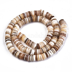 Eau douce naturelle de coquillage perles brins&nbsp;X-SHEL-N003A-02