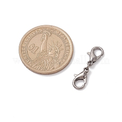 Zink Legierung Karabinerverschlüsse Karabinerverschluss&nbsp;PALLOY-JF04249-03