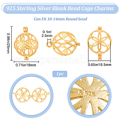 1pc 925 pendentifs cage à perles vides en argent sterling&nbsp;STER-BBC0005-71MG