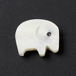 Shell perle bianche naturali&nbsp;BSHE-G031-02