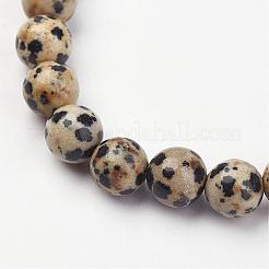 Natürliche dalmatian Jasper stretch Armbändern&nbsp;G-N0262-01