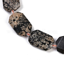 Naturschneeflocke Obsidian Perlen Stränge&nbsp;G-B125-P21-01