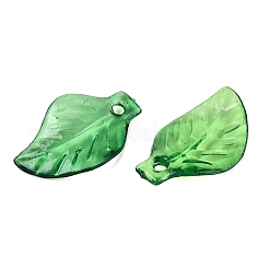 Transparenten Acryl-Anhänger&nbsp;TACR-436-17