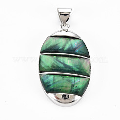 Coquille d'ormeau naturel / coquille paua gros pendentifs&nbsp;SHEL-N333-009A-B01