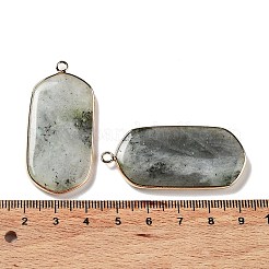 Natur Labradorit Anhänger&nbsp;G-G063-02E