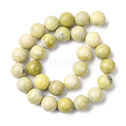 Natürliche Zitronen Jade Perlen Stränge&nbsp;G-H343-D01-14mm