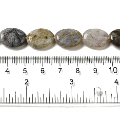 Natürliche Bambus-Blatt-Achat Perlen Stränge&nbsp;G-NH0014-B01-02