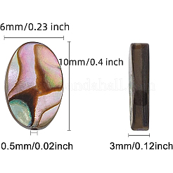 Natürliche Abalone-Muschel / Paua-Muschelperlen&nbsp;SSHEL-BC0001-08