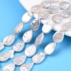 Hebras de cuentas de perlas keshi de perlas nucleadas naturales barrocas, perla cultivada de agua dulce, lágrima, color de concha, 14~18x9.5~12x3~6.5mm, agujero: 0.6 mm, aproximamente 12~13 pcs / cadena, 7.48~7.68 pulgada (19~19.5 cm)