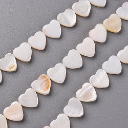 Natural Freshwater Shell Beads Strands, Heart, Creamy White, 10.5x10.5x3mm, Hole: 1mm, about 33pcs/strand, 13.78 inch(35cm)
