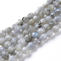 Chapelets de perles en labradorite naturelle , facette, plat rond, 6~7x4~4.5mm, Trou: 1mm, Environ 61~64 pcs/chapelet, 14.96 pouce (38 cm)
