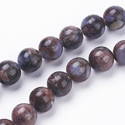Brins de perles de glaucophane naturel, ronde, selle marron, 8~8.5mm, Trou: 1mm, Environ 47 pcs/chapelet, 15.3~15.5 pouce (39~39.5 cm)