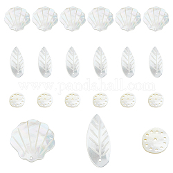 DICOSMETIC 18Pcs 3 Styles Natural Sea Shell Pendants, Shell Charms, Shell Shape & Leaf & Flat Round, 13~27x11~21x1~1.5mm, Hole: 1~1.4mm, 6pcs/style