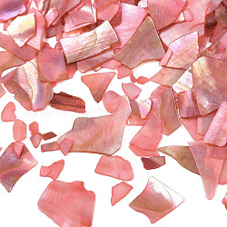 Natural Abalone/Paua Shell Mica Fragment, Nail Art Decorations, Shell Mica Slices, Dyed, Light Coral, 1~20x1~15x0.5mm