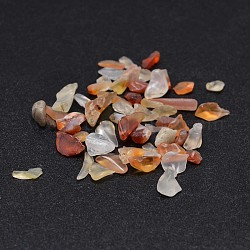 Natürlichen Karneol Chip-Perlen, kein Loch / ungekratzt, gefärbt und erhitzt, 2~8x2~4 mm, ca. 340 Stk. / 20 g