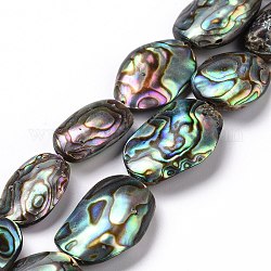 Natural Abalone Shell/Paua Shell Beads, Flat Oval, Colorful, 24~32x14~19x4mm, about 15~16pcs/strand, 15.5 inch