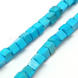 Natural Chinese Howlite Bead Strands, Dyed, Cube, 4x4x4mm, Hole: 1mm, about 94~100pcs/strand, 15.7inch