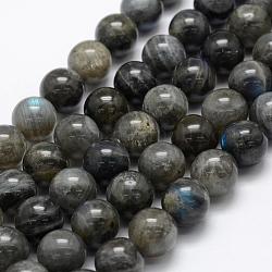 Chapelets de perles en labradorite naturelle , Grade A +, ronde, 12mm, Trou: 1mm, Environ 32 pcs/chapelet, 15.3 pouce (39 cm)