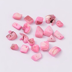 Perles de copeaux de coquille d'eau douce naturelles, tessons shell, teinte, rose brumeuse, 8~17x5~7x4~6mm, Trou: 1mm, environ 640 pcs/500 g