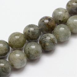 Natural Labradorite Bead Strands, Round, 4mm, Hole: 1mm, about 95pcs/strand, 15.4 inch