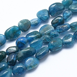 Chapelets de perles en apatite naturelle, pierre roulée, Grade a, pépites, 6~8mm, Trou: 0.8mm, Environ 45~47 pcs/chapelet, 15.7 pouce (40 cm)