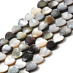 Naturel noir à lèvres shell perles brins, cœur, 9.5x10x3mm, Trou: 0.8mm, Environ 42~44 pcs/chapelet, 14.76''~15.16'' (37.5~38.5 cm)