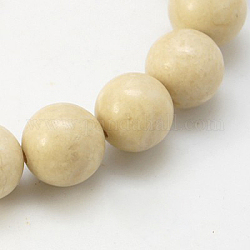 Natural Fossil Beads Strands, Round, 12mm, Hole: 1mm, about 32pcs/ strand, 16 inch