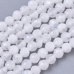 Natural Rainbow Moonstone Beads Strands, Round, Faceted, 2mm, Hole: 0.5mm, about 150pcs/strand, 15.55 inch(39.5cm)