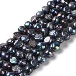 Fili di perle di perle d'acqua dolce coltivate naturali, due lati lucido, grado 3a+, nero, 11~12x11~12.5x7~9mm, Foro: 0.7 mm, circa 34pcs/filo, 14.17'' (36 cm)