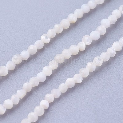 Chapelets de perles de coquillage&nbsp;G-F619-27-2mm-1