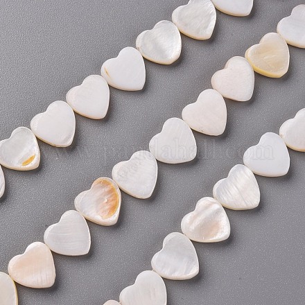 Eau douce naturelle de coquillage perles brins SHEL-R144-25-1