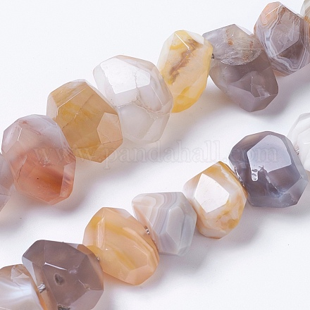 Natural Botswana Agate Beads Strands G-F568-222-1